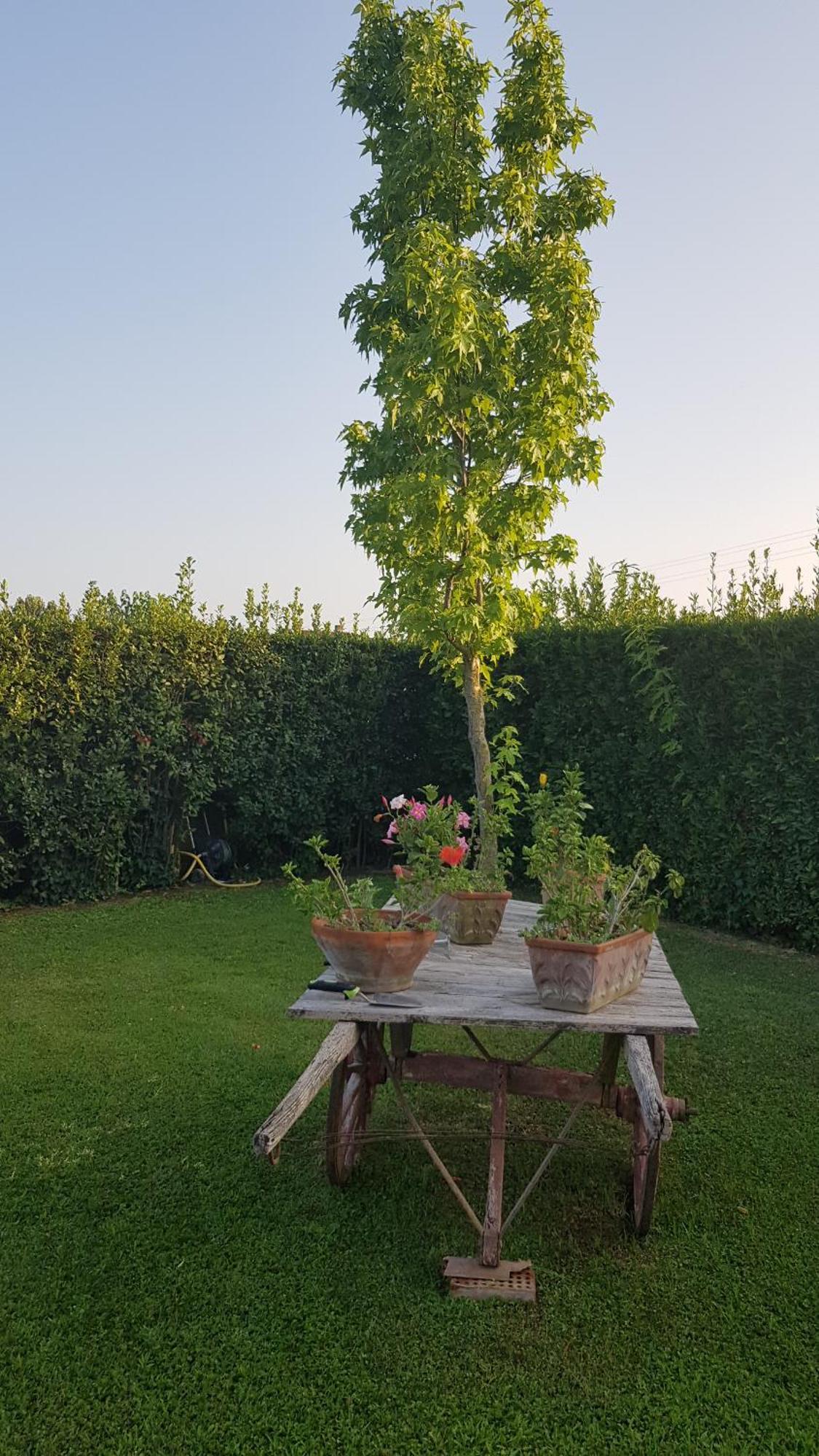 Leupupe Relax Cultura Mare Monti Leilighet Cascina Eksteriør bilde